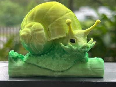 Snail-Pig Hybrid