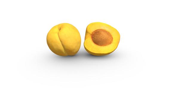 Apricot