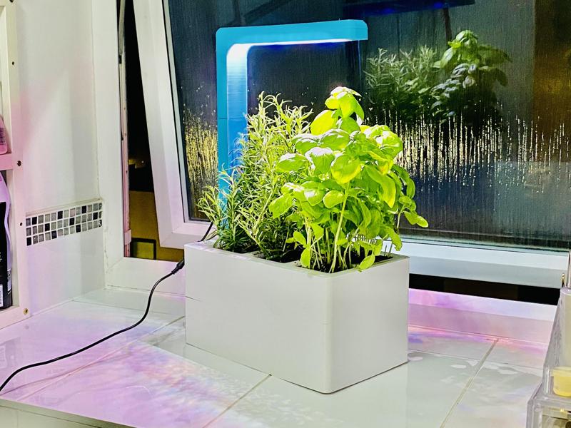 Smart Self-watering Pot with Grow Light (6 Pots)