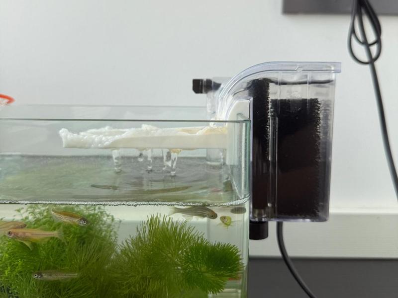 Aquarium filter, aquarium filter stand, waterfall aquarium filter stand