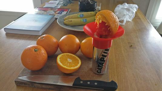 250ml Can Juicepress