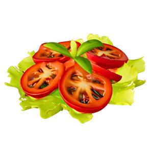 Tomato and Lettuce Salad