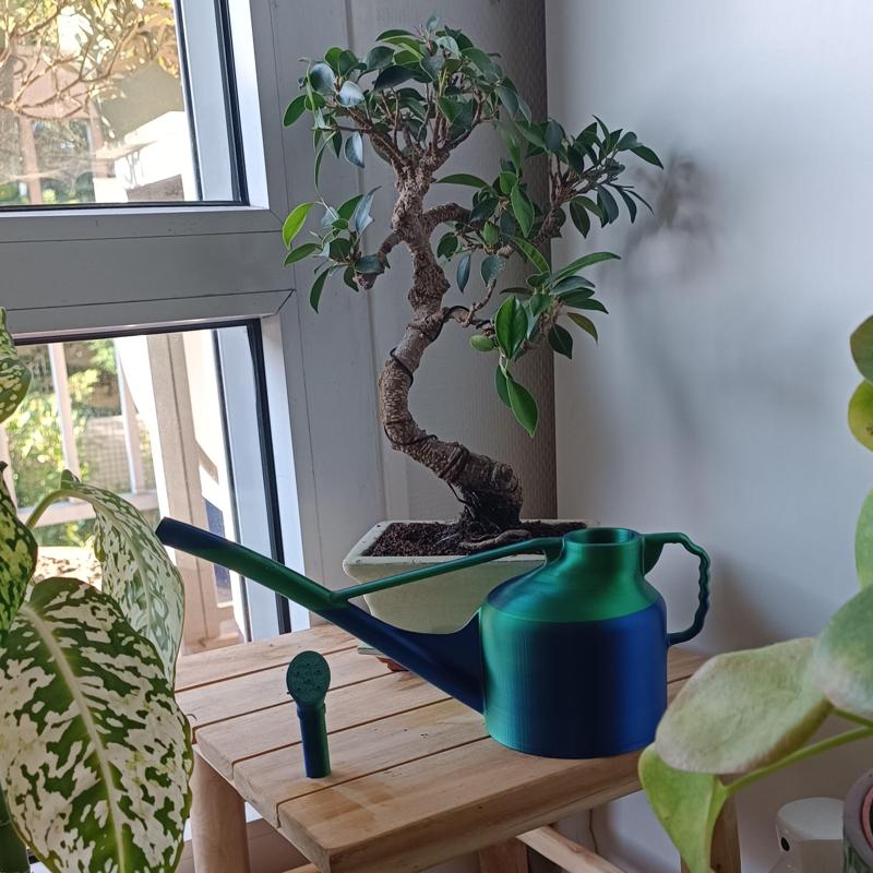 Joli arrosoir avec bec verseur effet pluie amovible - Pretty watering can with removable rain spout