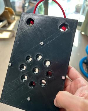 Platycerium Mounting Board