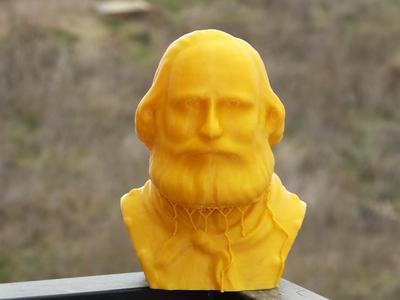 Garibaldi Bust