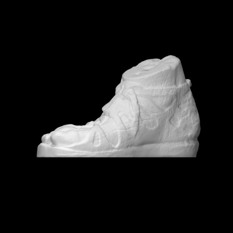 Fragment of a man's foot