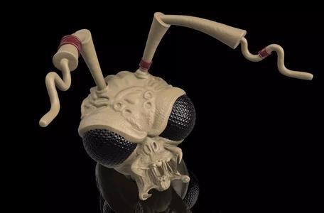 Custom Head - Alien Insect Assassin Hunter
