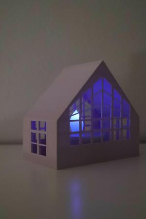 Christmas house lights