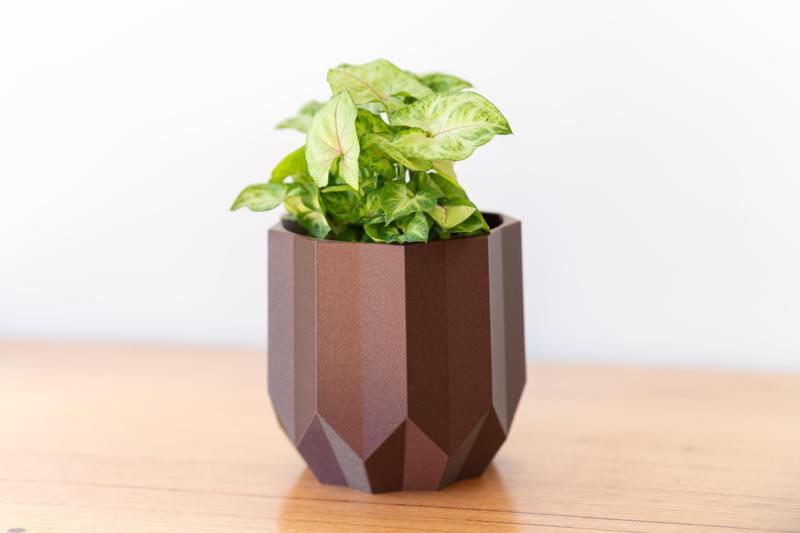 🌸 Modern Wall-Mounted Vase