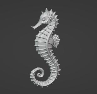 Seahorse_2