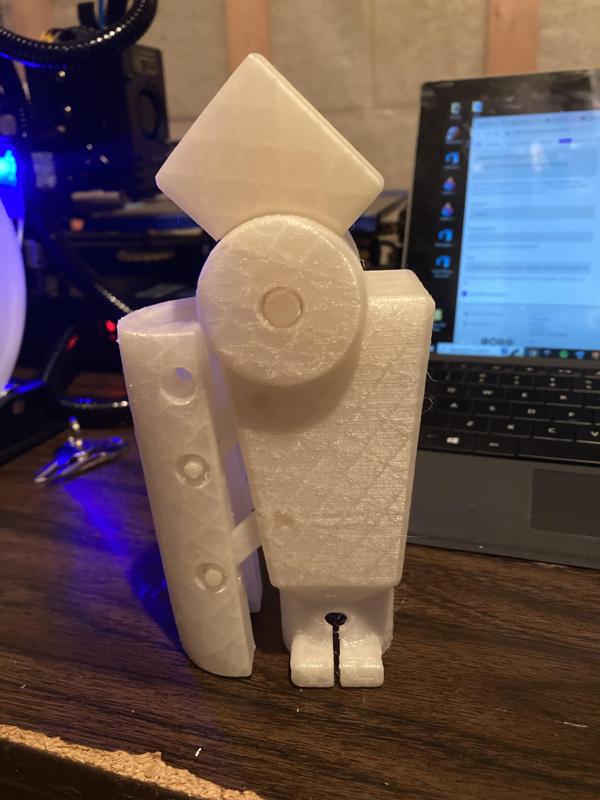 Prosthetic Knee