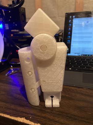 Prosthetic Knee