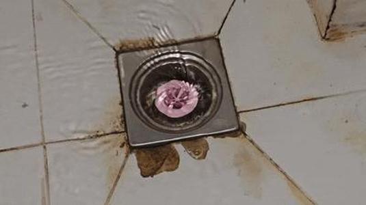 Floor drain anti-odor anti-insect fast drainage