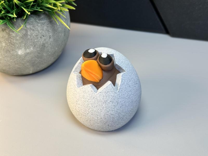 Little Bird Looking Out Of Egg