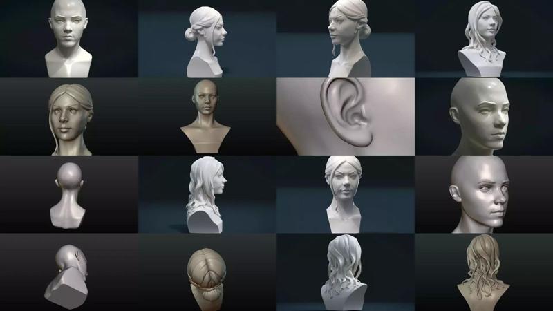 Woman heads and Hairstyles 3D Model Collection