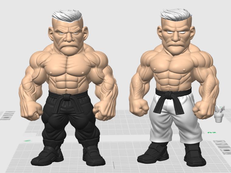 Maromba black belt - jiujitsu