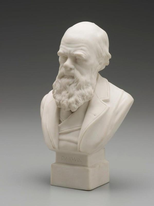 Bust of Charles Darwin, c.1899