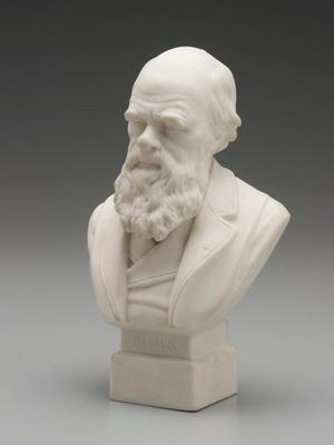 Bust of Charles Darwin, c.1899