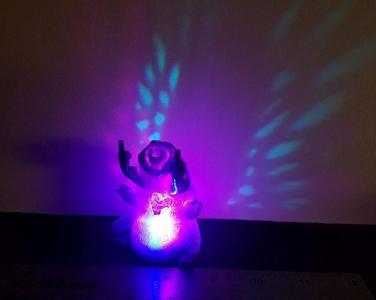 Rude & Not Rude Waterbear Tardigrades
