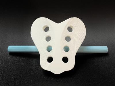 OMM Sacrum Model