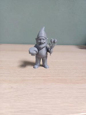 The Dutch Gnome