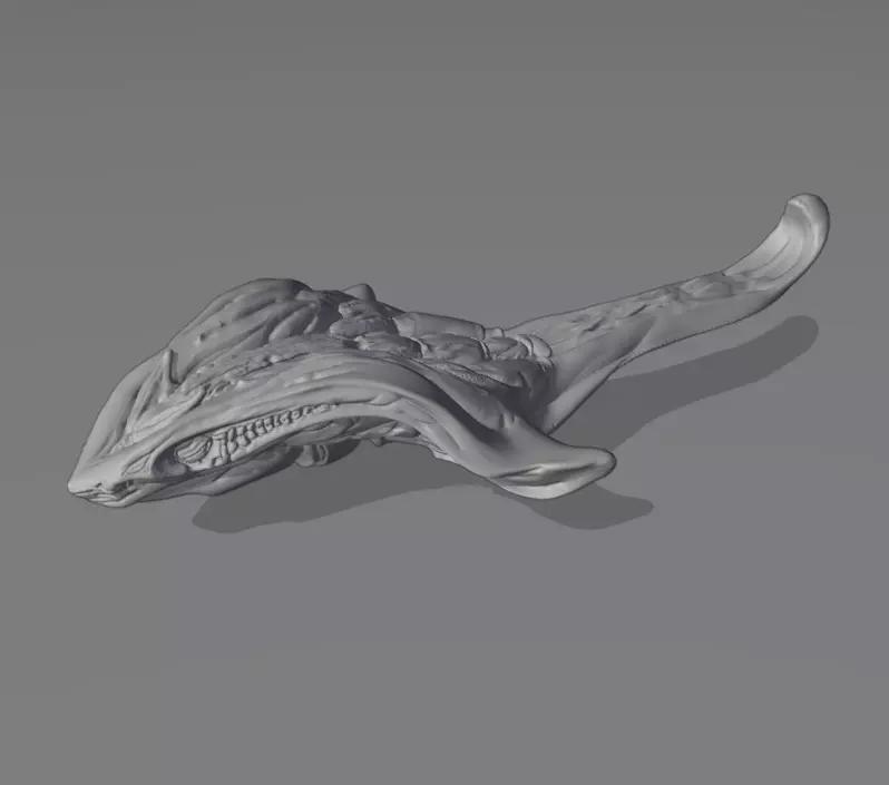 Space Manta