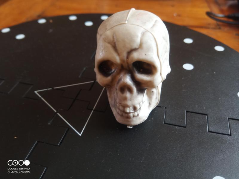 cranium