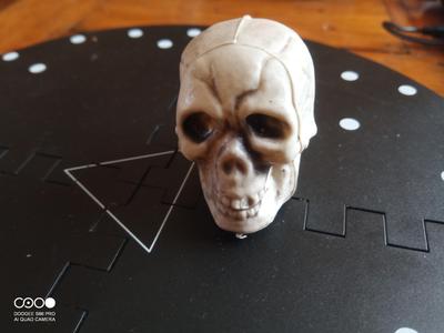 cranium