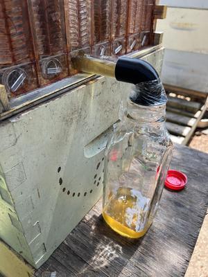 Flow Hive to Milk Bottle adapter