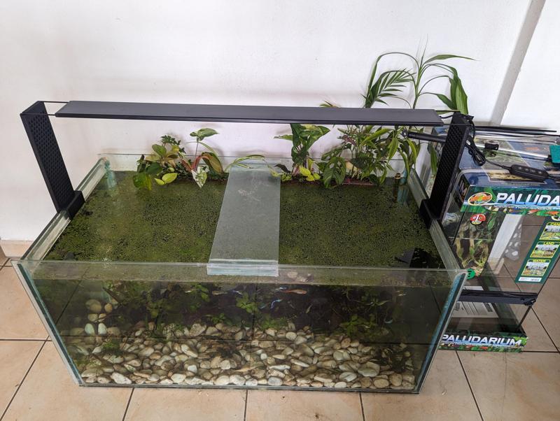 High aquarium light stand
