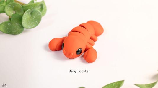 Baby Lobster