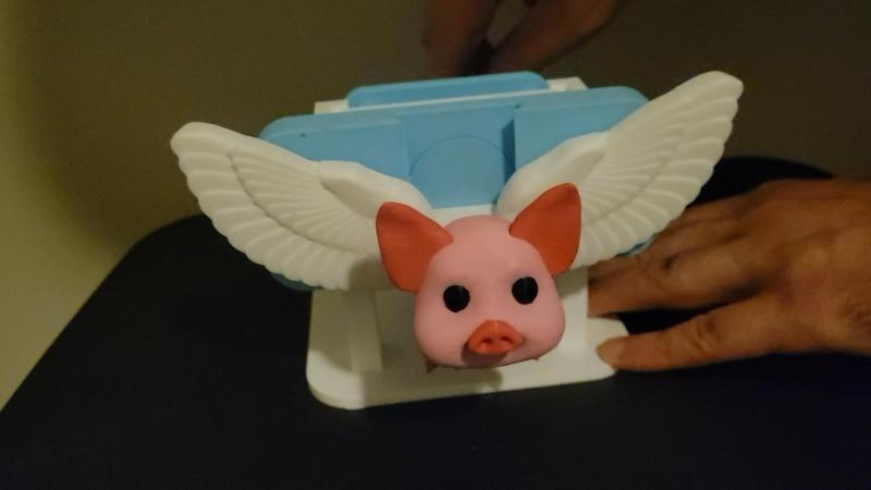 Flying Pig