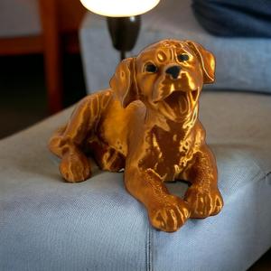 Labrador puppy