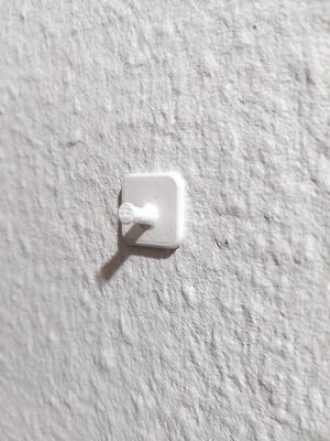 Hook for small, lightweigth picture frames