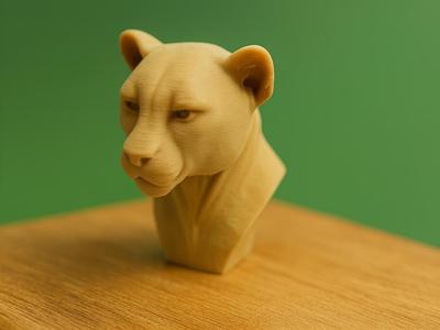 Savannah Sprinter – Cheetah