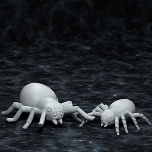 Spiders
