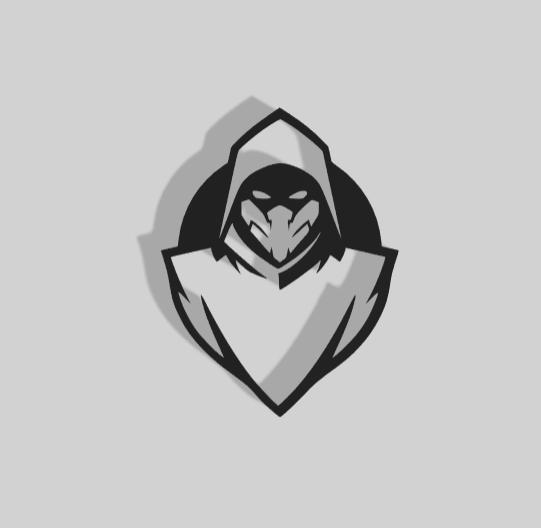 Ninja Decoration - 2D Art