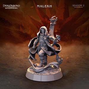 Dragonbond Battles of Valerna: Witness Malekh