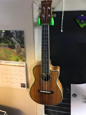 Guitar Hook