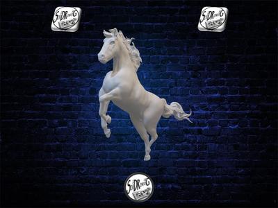 Horse 08