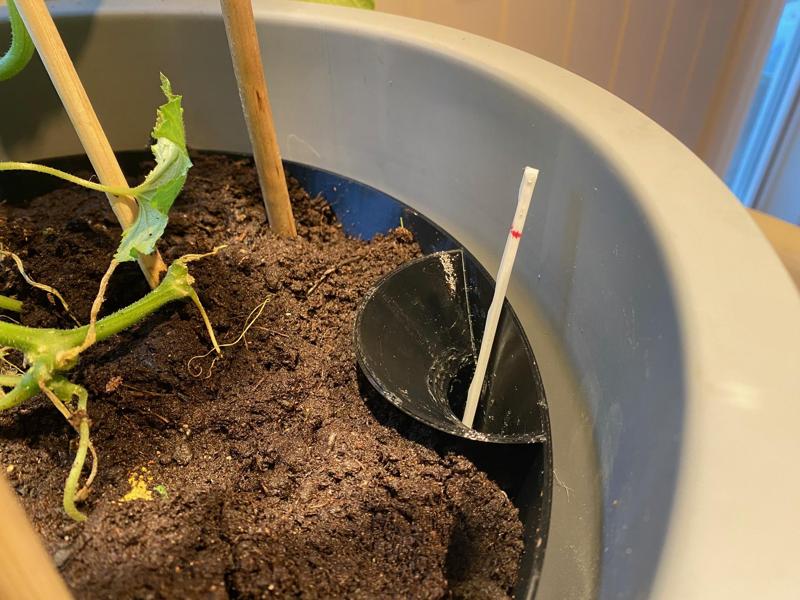 Water level measuring stick for Self watering planter