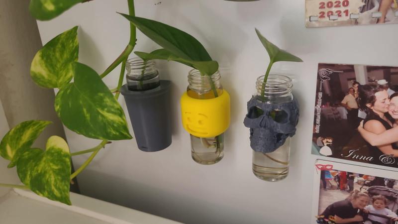 Magnetic glass tube holder for plants