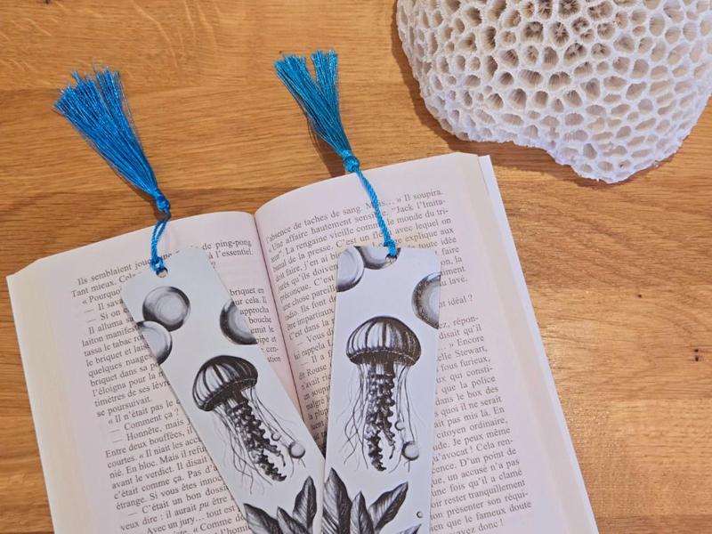 Duo Marques pages “Medusa”