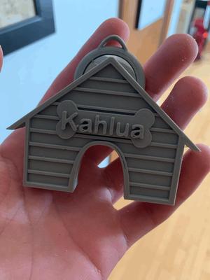 dog house dog tag with AirTag