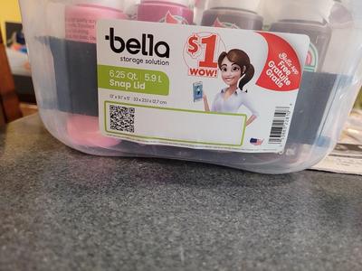 bella small tote paint bottle holder