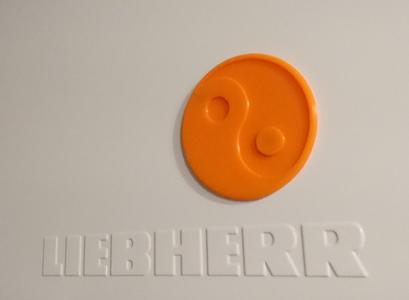 Yin Yang Fridge Magnet.