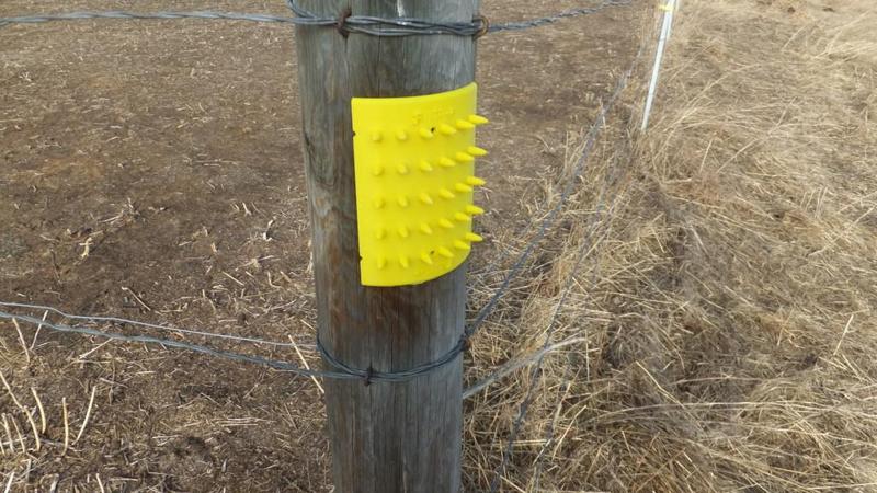 FuzNuz post scratcher