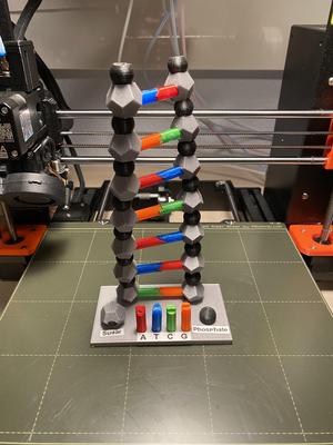DNA Model