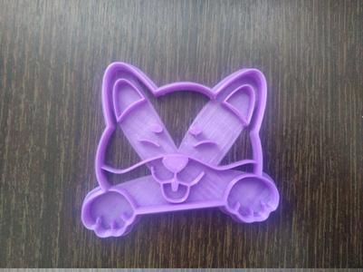 Cookie cutter cute dog