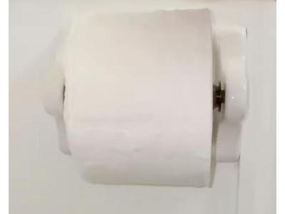 Toilet Paper Roll Dispenser Roller (Holder) - Vase Mode